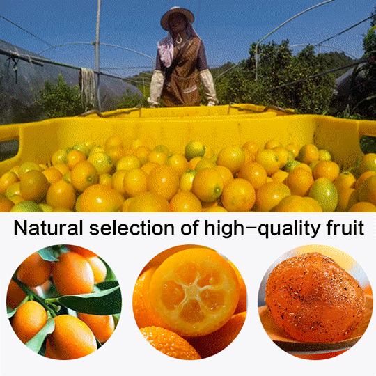Natural Licorice & Kumquat – Fast Cough Relief + Sore Throat Soother | Herbal & Effective-HS