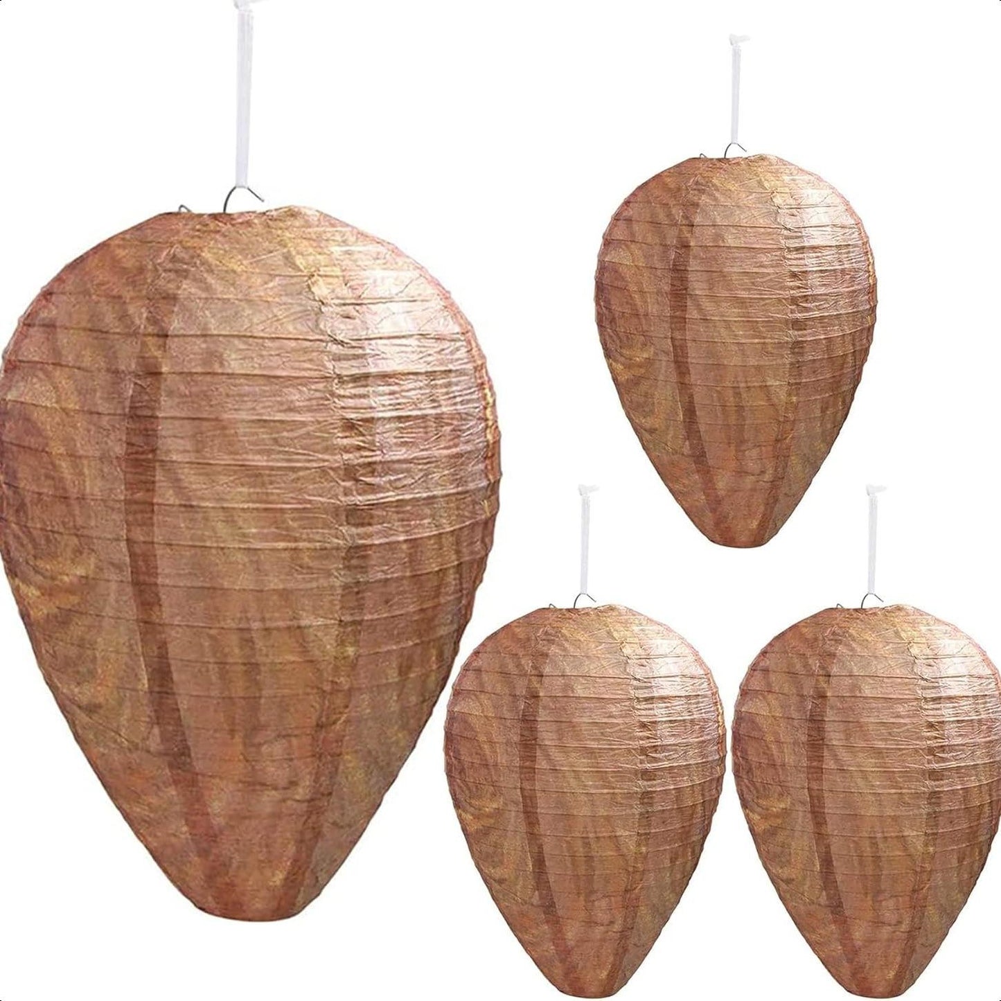 🔥Hot Sale 49% OFF-🐝🚫 Wasp Nest Decoy 4-Pack – Natural Outdoor Repellent -HS