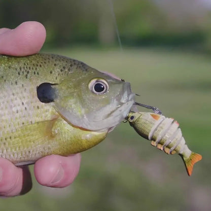 🔥2026 new biomimetic bait with BKK Hooks, 3D Realistic Eyes, ABS Material, 6 Segments, for Bass, Trout, Walleye, Ultra Sharp Treble Hooks, Lifelike Fishing Baits.-ZO