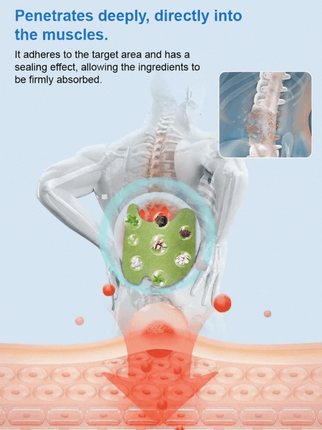 Mugwort Moxibustion Joint Patches-HS