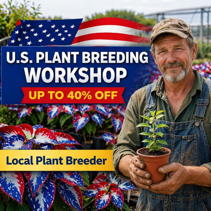 🎉Último Día de Rebajas del 40%🎉Celebra el 250 Aniversario de América 🌱Semillas de Hosta Premium amantes de la sombra-HS