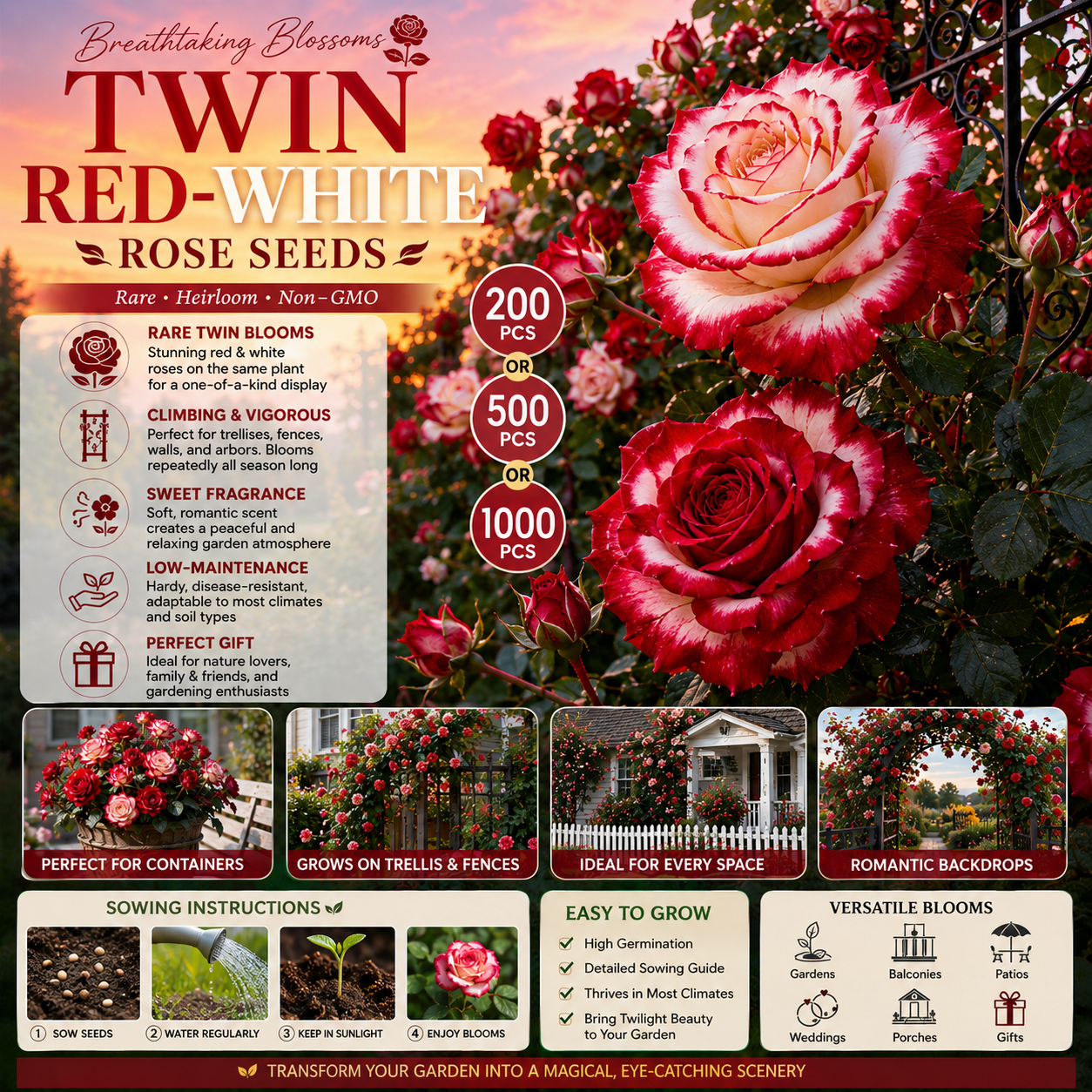 🌹 200/1000Pcs Rare Red White Twin Rose Seeds, Non-GMO heirloom, beautiful garden blooms, easy to grow and perfect for gardening gifts.-HS