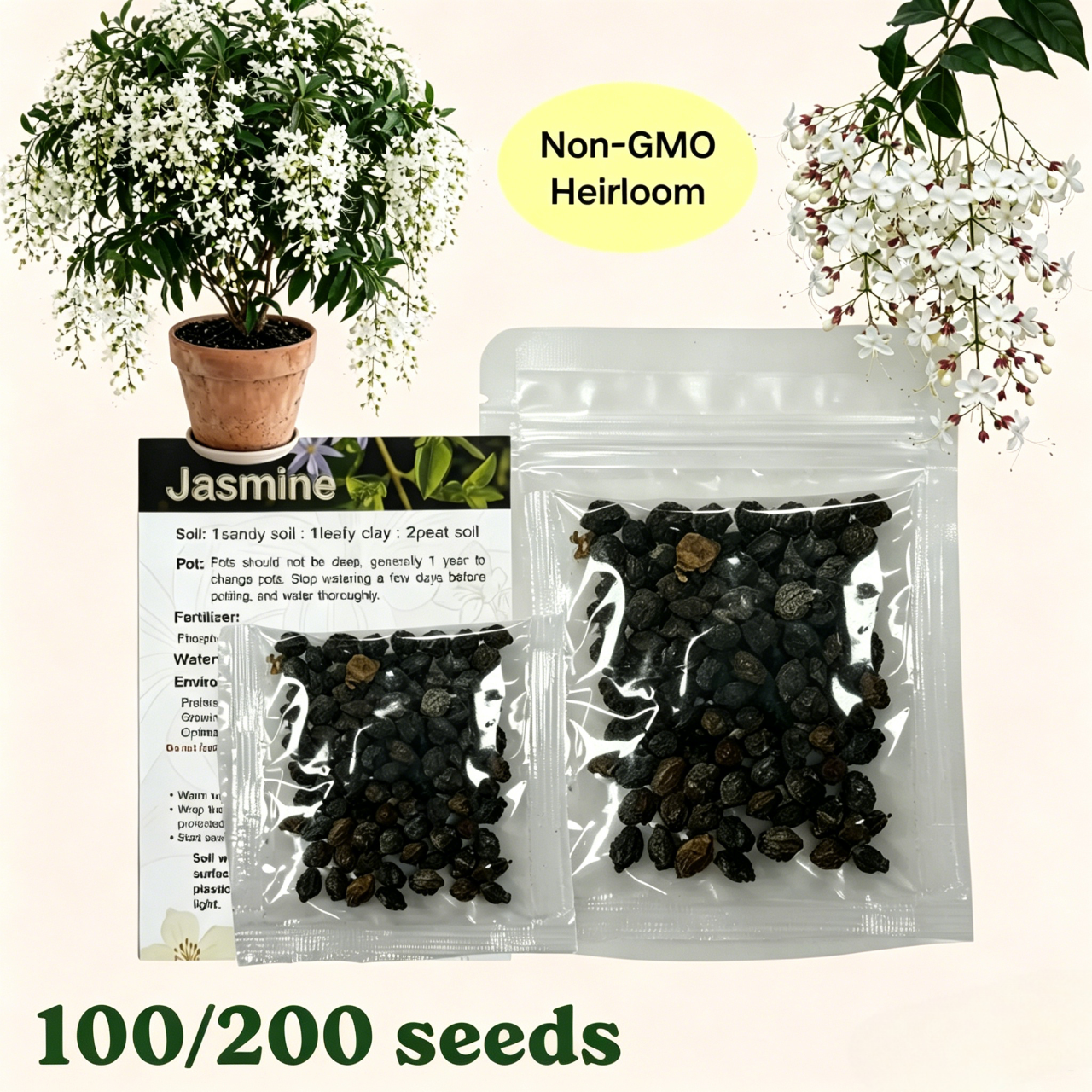 🌱 Trailing Jasmine Seeds High Germination Rate Nodding Clerodendron Easy to Grow Long Lasting Aroma for Home Garden Fragrant Blooms Rare Cascading Jasmine Perfect for Balconies & Indoor Pots-ZO