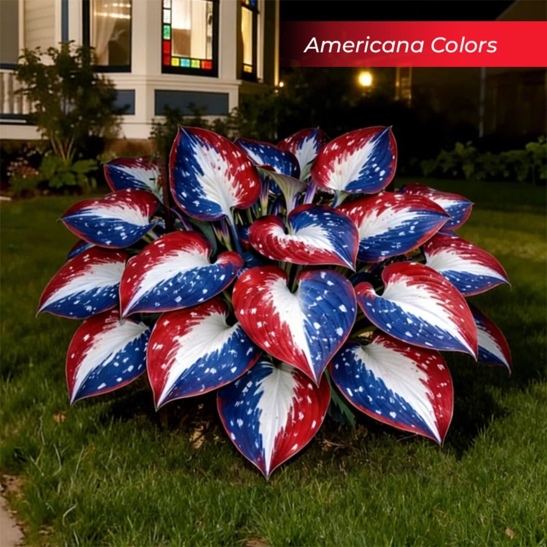 🎉Último Día de Rebajas del 40%🎉Celebra el 250 Aniversario de América 🌱Semillas de Hosta Premium amantes de la sombra-HS