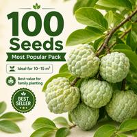 ❤️100 Seeds(Most Popular Pack)MOST POPULAR❤️