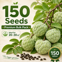 ✨150 Seeds(Premium Bulk Pack)