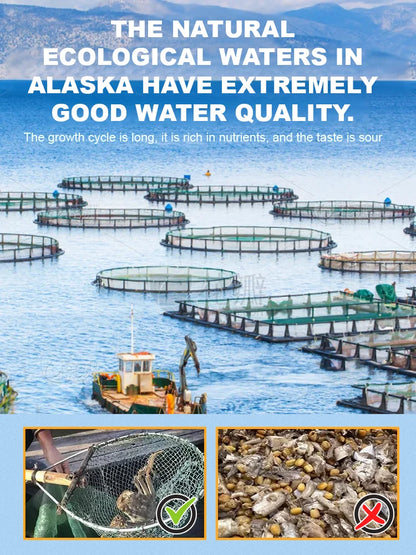 Alaskan Snow Crab Ready-to-EatCrispy Crab-LTT